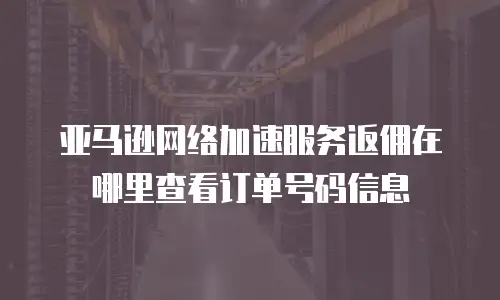 亚马逊网络加速服务返佣在哪里查看订单号码信息