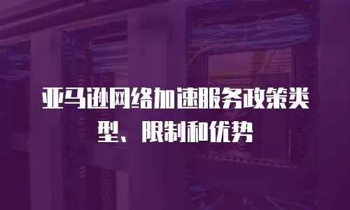  亚马逊网络加速服务政策类型、限制和优势
