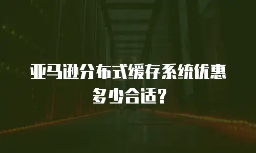 亚马逊分布式缓存系统优惠多少合适？