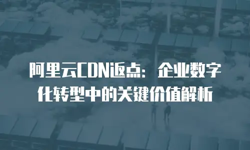 阿里云CDN返点：企业数字化转型中的关键价值解析