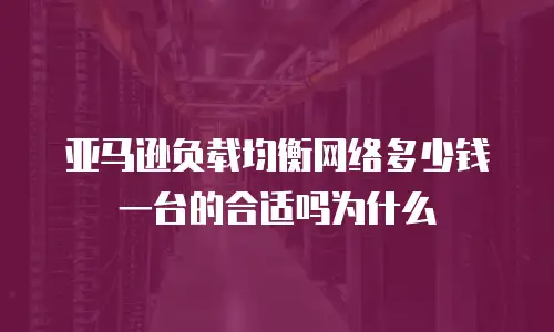 亚马逊负载均衡网络多少钱一台的合适吗为什么