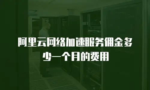 阿里云网络加速服务佣金多少一个月的费用