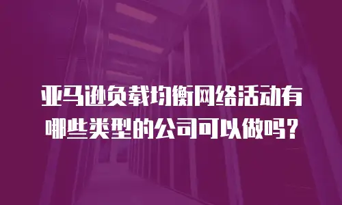 亚马逊负载均衡网络活动有哪些类型的公司可以做吗？