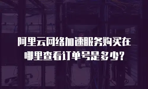 阿里云网络加速服务购买在哪里查看订单号是多少？