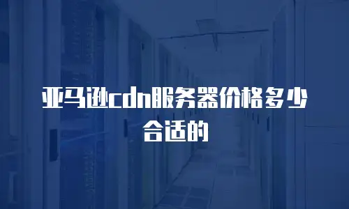 亚马逊cdn服务器价格多少合适的