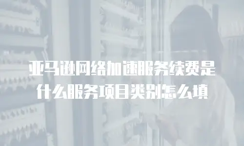 亚马逊网络加速服务续费是什么服务项目类别怎么填