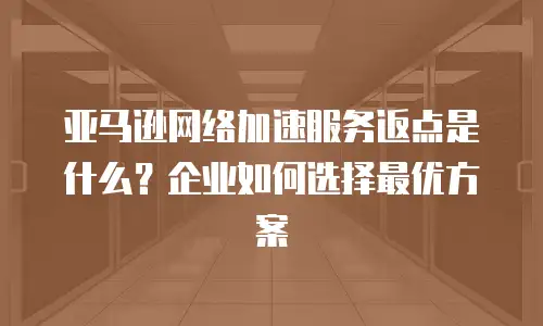 亚马逊网络加速服务返点是什么？企业如何选择最优方案