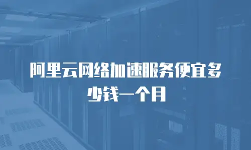 阿里云网络加速服务便宜多少钱一个月