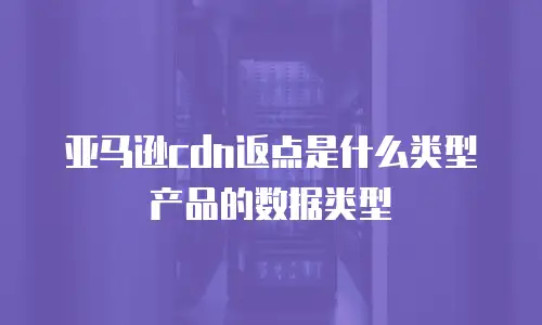 亚马逊cdn返点是什么类型产品的数据类型