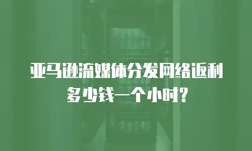 亚马逊流媒体分发网络返利多少钱一个小时？