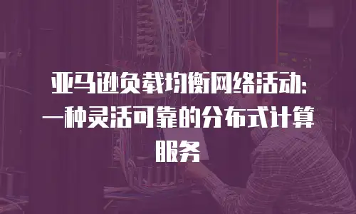 亚马逊负载均衡网络活动：一种灵活可靠的分布式计算服务