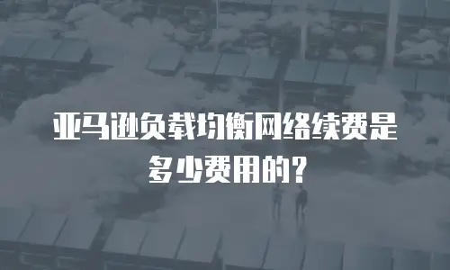 亚马逊负载均衡网络续费是多少费用的？
