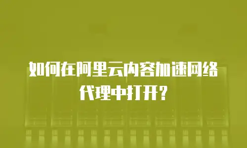 如何在阿里云内容加速网络代理中打开？