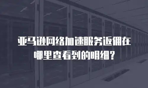 亚马逊网络加速服务返佣在哪里查看到的明细？