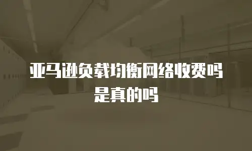 亚马逊负载均衡网络收费吗是真的吗