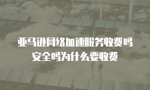 亚马逊网络加速服务收费吗安全吗为什么要收费
