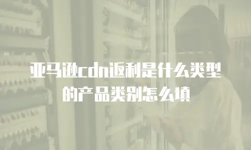 亚马逊cdn返利是什么类型的产品类别怎么填
