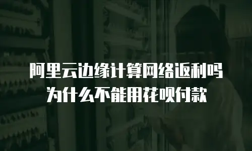 阿里云边缘计算网络返利吗为什么不能用花呗付款