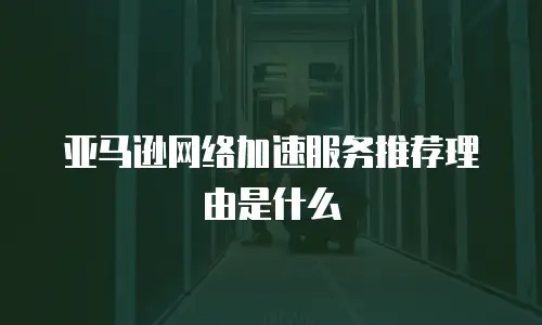 亚马逊网络加速服务推荐理由是什么