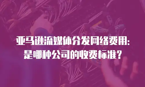亚马逊流媒体分发网络费用：是哪种公司的收费标准？