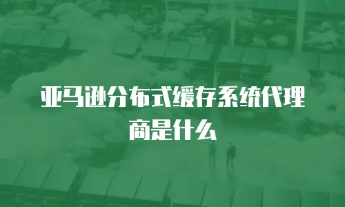亚马逊分布式缓存系统代理商是什么