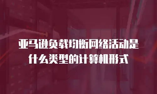亚马逊负载均衡网络活动是什么类型的计算机形式
