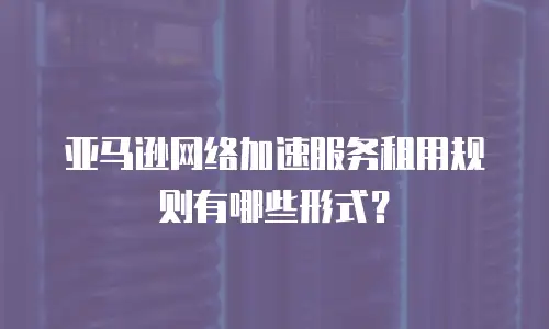 亚马逊网络加速服务租用规则有哪些形式？