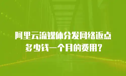阿里云流媒体分发网络返点多少钱一个月的费用？