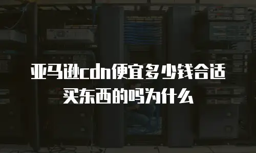 亚马逊cdn便宜多少钱合适买东西的吗为什么