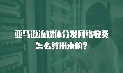 亚马逊流媒体分发网络收费怎么算出来的？