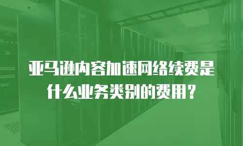 亚马逊内容加速网络续费是什么业务类别的费用？