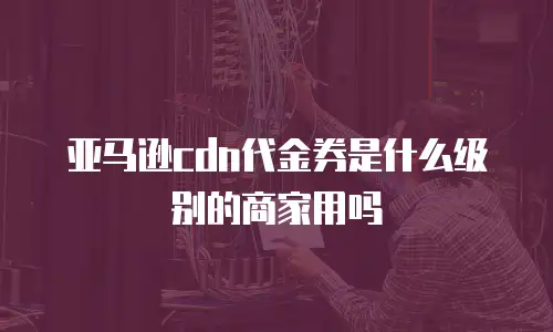 亚马逊cdn代金券是什么级别的商家用吗