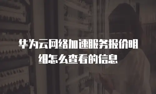 华为云网络加速服务报价明细怎么查看的信息