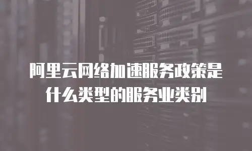 阿里云网络加速服务政策是什么类型的服务业类别