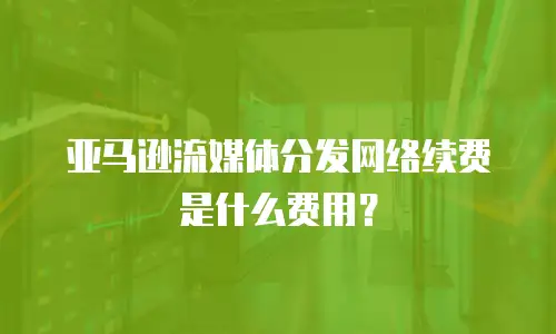 亚马逊流媒体分发网络续费是什么费用？