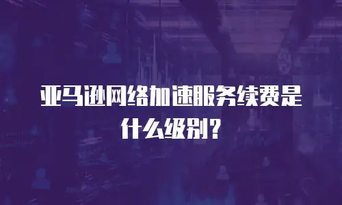 亚马逊网络加速服务续费是什么级别？