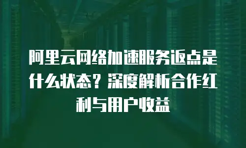 阿里云网络加速服务返点是什么状态？深度解析合作红利与用户收益