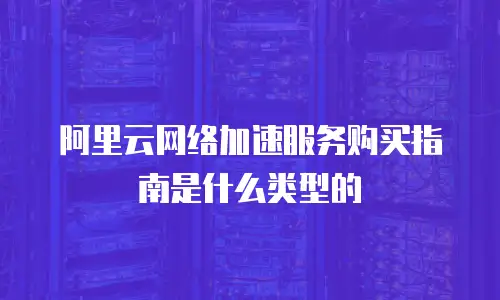 阿里云网络加速服务购买指南是什么类型的
