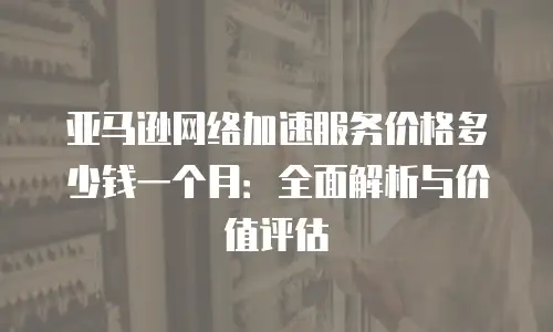 亚马逊网络加速服务价格多少钱一个月：全面解析与价值评估