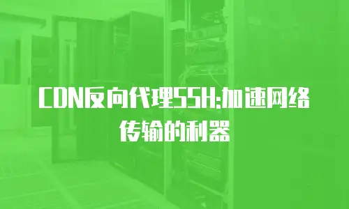 CDN反向代理SSH:加速网络传输的利器