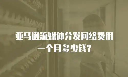  亚马逊流媒体分发网络费用一个月多少钱？