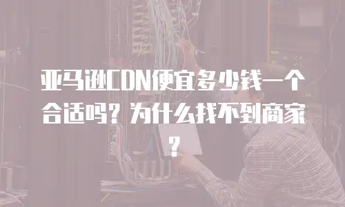 亚马逊CDN便宜多少钱一个合适吗？为什么找不到商家？