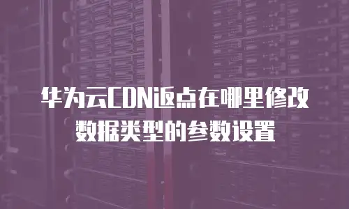 华为云CDN返点在哪里修改数据类型的参数设置
