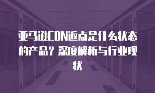 亚马逊CDN返点是什么状态的产品？深度解析与行业现状