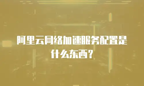阿里云网络加速服务配置是什么东西？