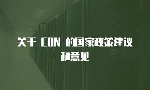 关于 CDN 的国家政策建议和意见