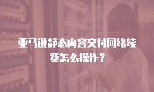 亚马逊静态内容交付网络续费怎么操作？