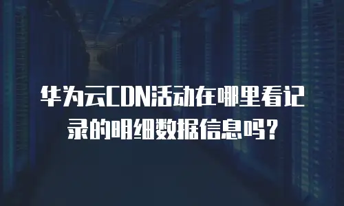 华为云CDN活动在哪里看记录的明细数据信息吗？