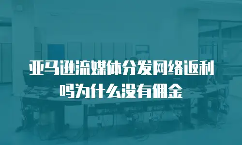 亚马逊流媒体分发网络返利吗为什么没有佣金