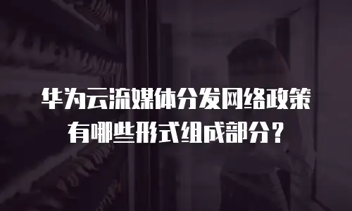 华为云流媒体分发网络政策有哪些形式组成部分？